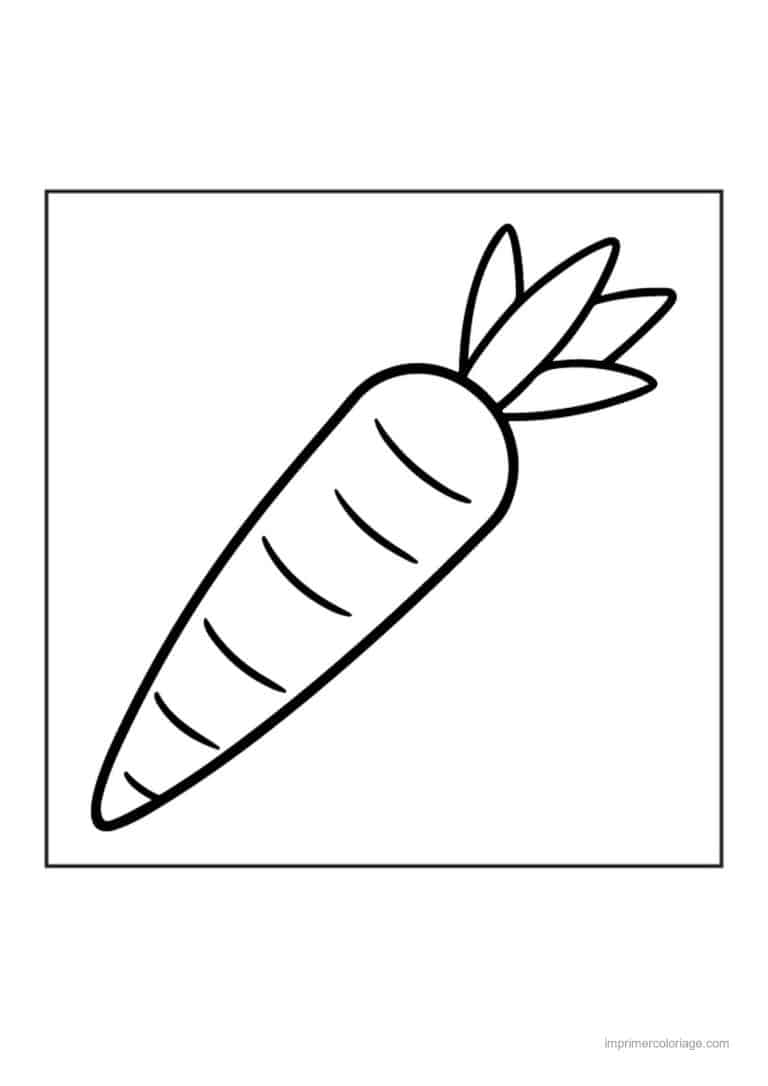 coloriage carotte carotte simple - dessin gratuit &agrave; imprimer