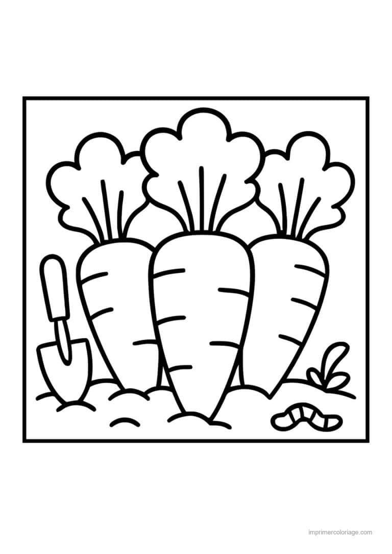 coloriage carotte carottes dans la terre - dessin gratuit &agrave; imprimer