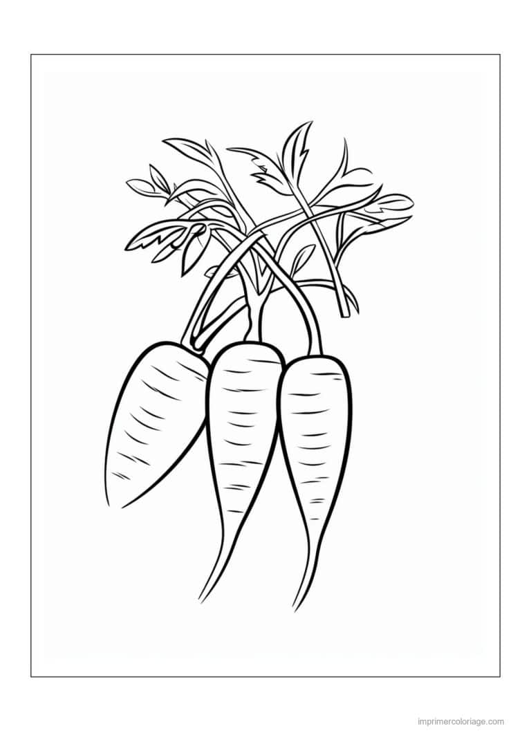 coloriage carotte carottes et leurs fanes 17 - dessin gratuit &agrave; imprimer
