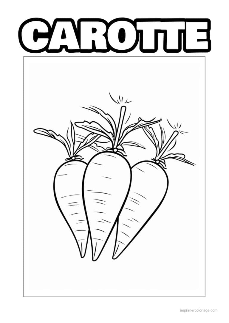 coloriage carotte carottes et leurs fanes 18 - dessin gratuit &agrave; imprimer