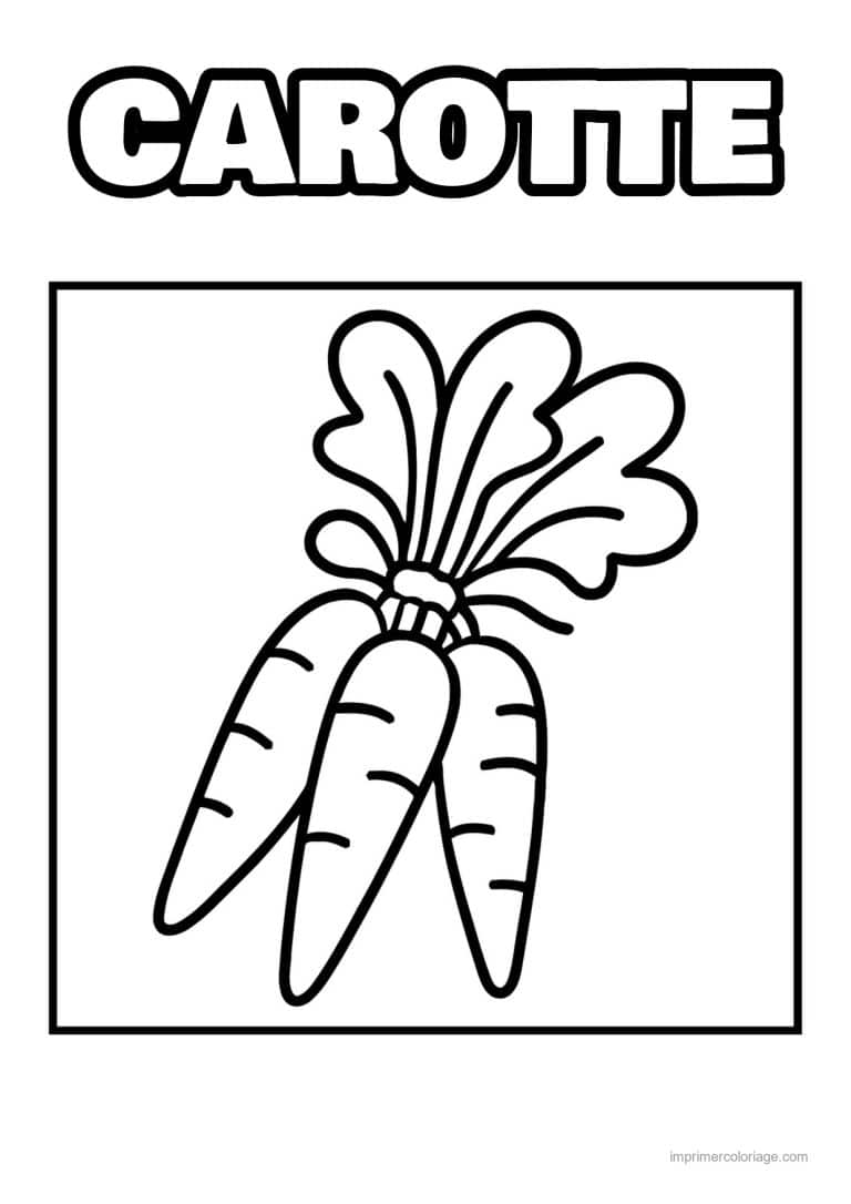 coloriage carotte deux carottes et leurs fanes - dessin gratuit &agrave; imprimer
