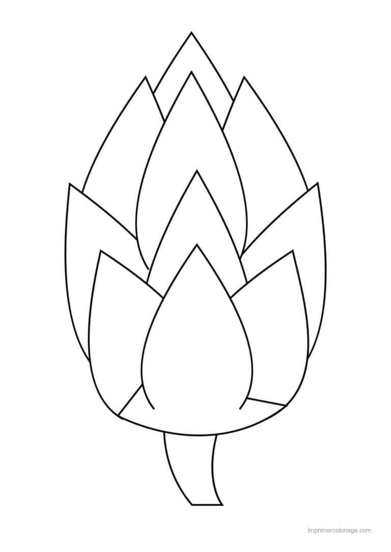 coloriage celeri artichaut asperge artichaut en bouton - dessin gratuit &agrave; imprimer