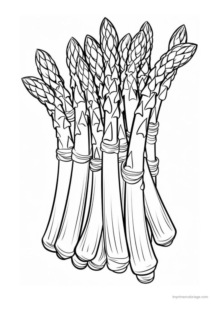 coloriage celeri artichaut asperge botte d asperges liee - dessin gratuit &agrave; imprimer
