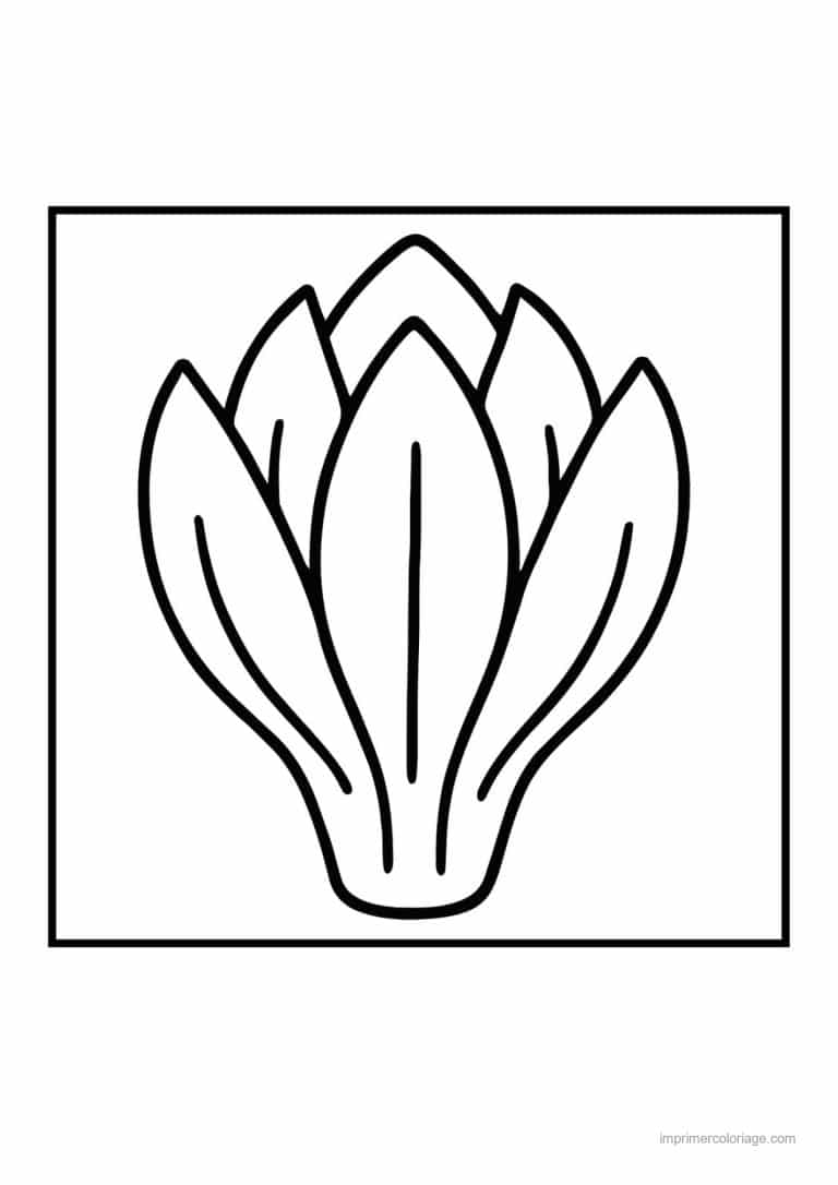 coloriage celeri artichaut asperge bourgeon d artichaut - dessin gratuit &agrave; imprimer