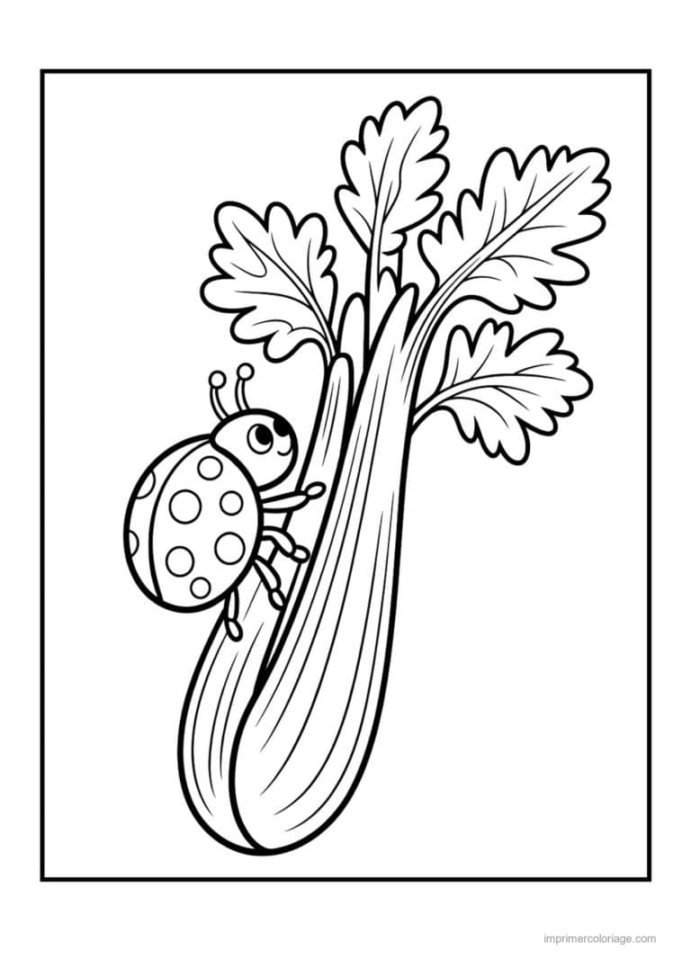 coloriage celeri artichaut asperge branche de celeri encadree - dessin gratuit &agrave; imprimer