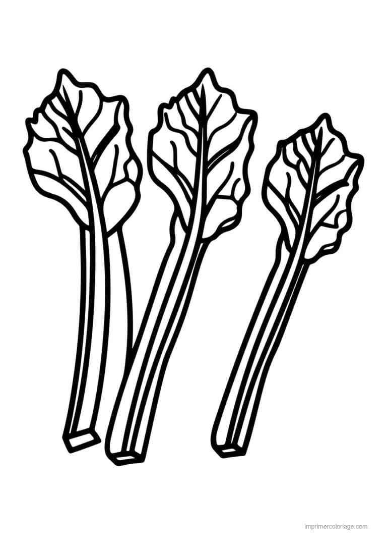 coloriage celeri artichaut asperge branches de celeri - dessin gratuit &agrave; imprimer
