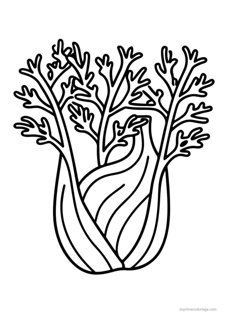 coloriage celeri artichaut asperge pied de fenouil - dessin gratuit &agrave; imprimer