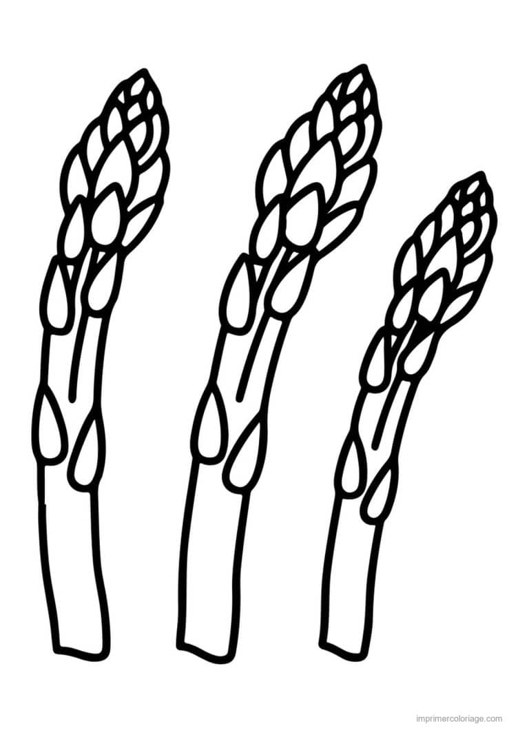 coloriage celeri artichaut asperge trois asperges - dessin gratuit &agrave; imprimer