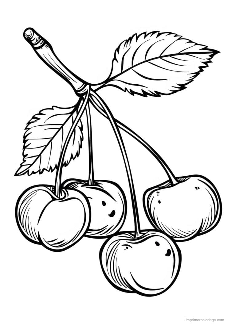 coloriage cerise cerises et leurs feuilles 163 - dessin gratuit &agrave; imprimer