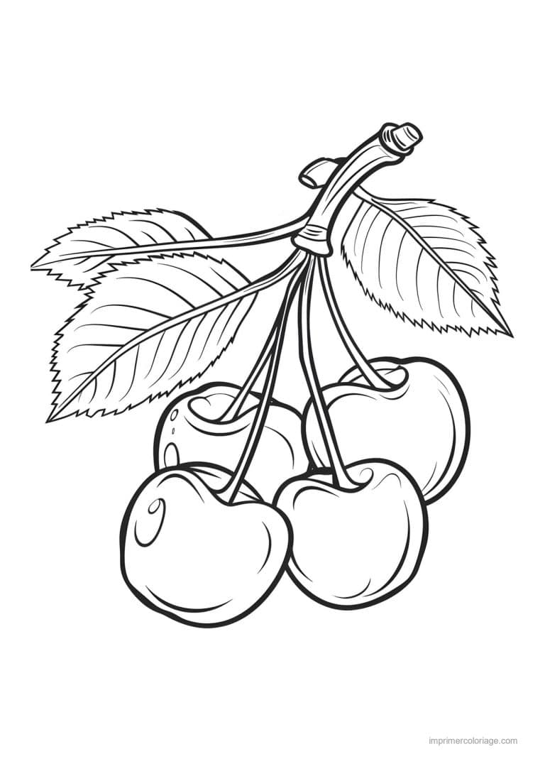 coloriage cerise cerises et leurs feuilles 181 - dessin gratuit &agrave; imprimer