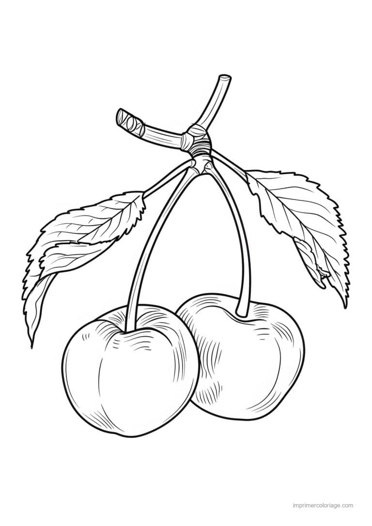 coloriage cerise cerises et leurs feuilles 188 - dessin gratuit &agrave; imprimer