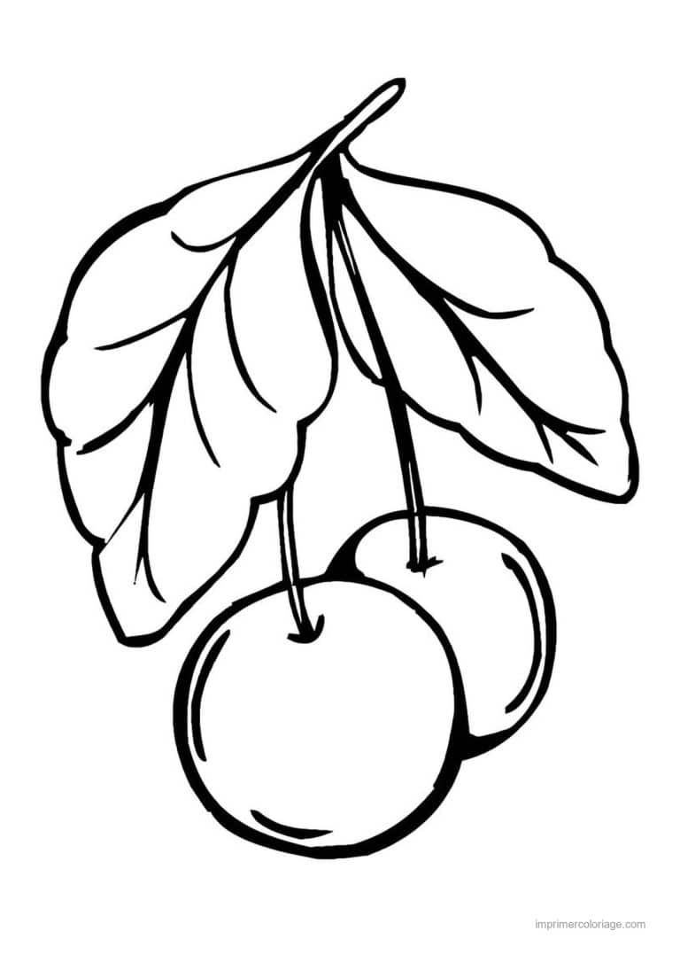 coloriage cerise cerises et leurs feuilles 2 - dessin gratuit &agrave; imprimer