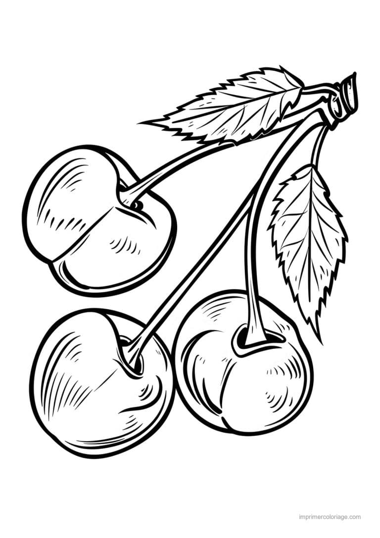 coloriage cerise cerises et leurs feuilles 3 - dessin gratuit &agrave; imprimer