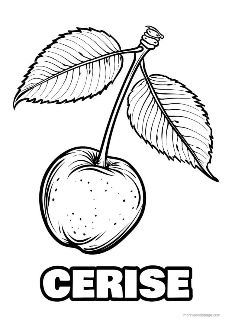 coloriage cerise cerises et leurs feuilles 66 - dessin gratuit &agrave; imprimer
