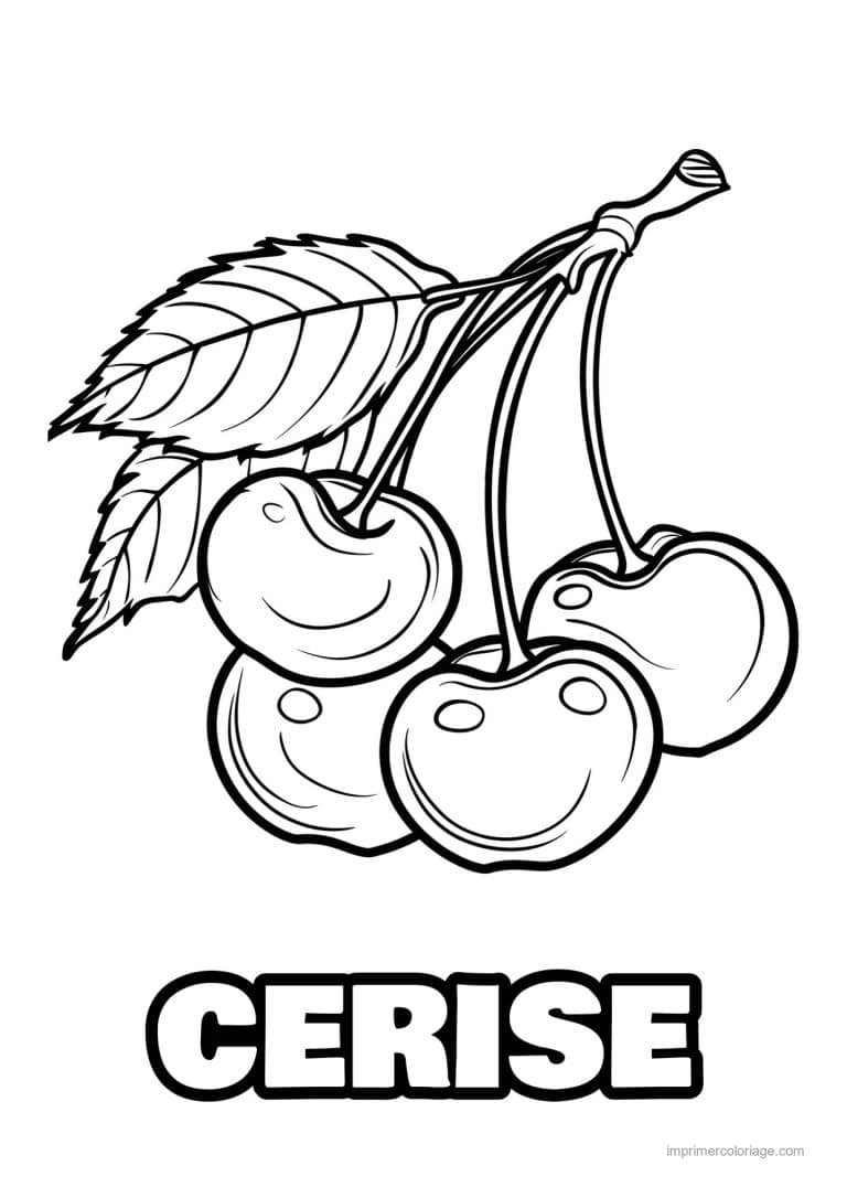 coloriage cerise cerises et leurs feuilles - dessin gratuit &agrave; imprimer