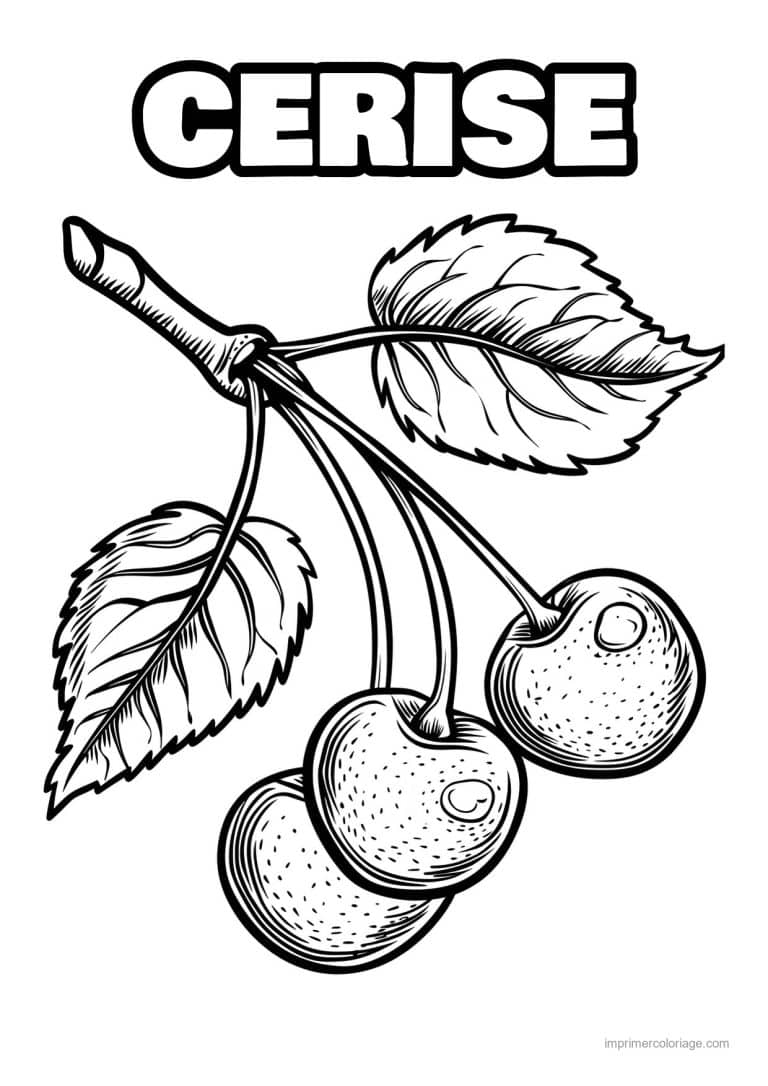 coloriage cerise cerises gravees 183 - dessin gratuit &agrave; imprimer