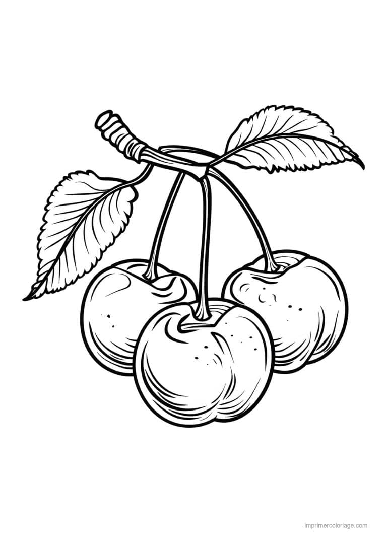 coloriage cerise cerises sur leur branche - dessin gratuit &agrave; imprimer
