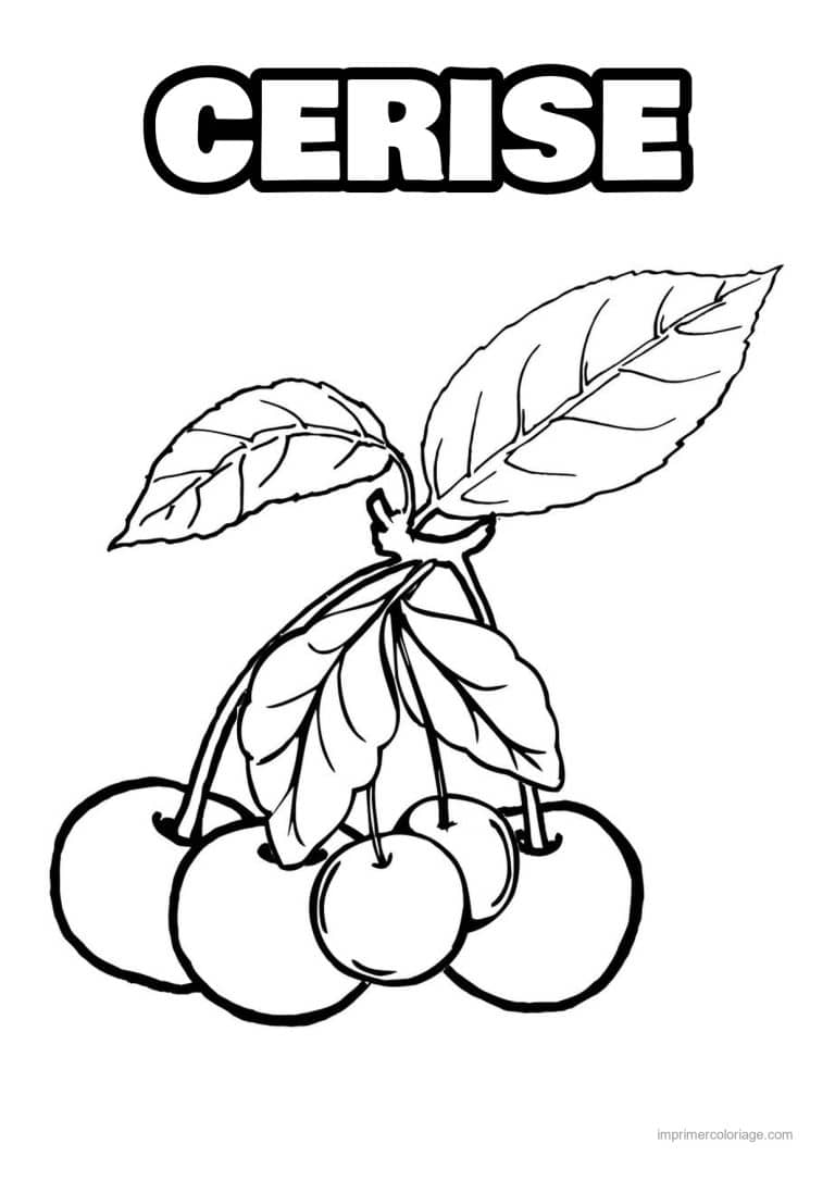 coloriage cerise cerises sur leur rameau - dessin gratuit &agrave; imprimer