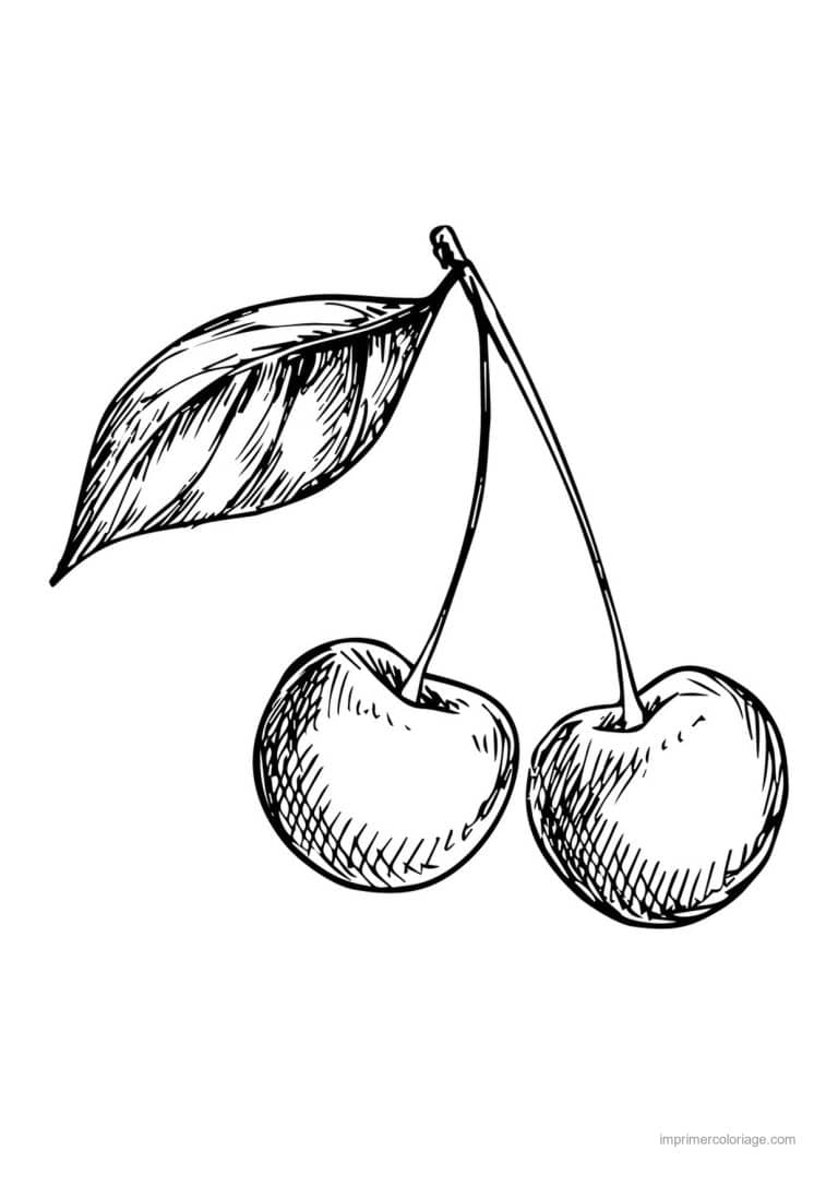 coloriage cerise deux cerises et leur feuille 3 - dessin gratuit &agrave; imprimer