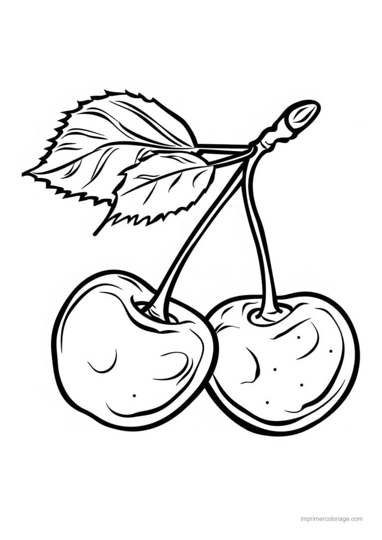 coloriage cerise deux cerises et leur feuille - dessin gratuit &agrave; imprimer