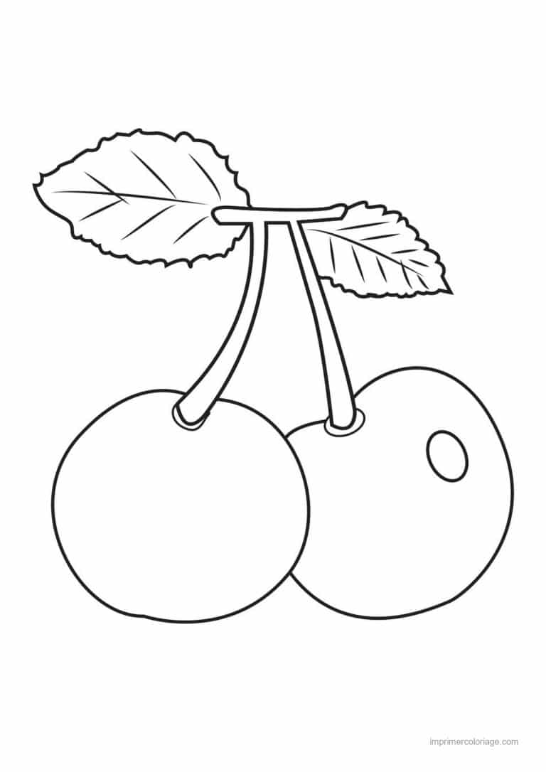 coloriage cerise deux cerises et leurs feuilles - dessin gratuit &agrave; imprimer