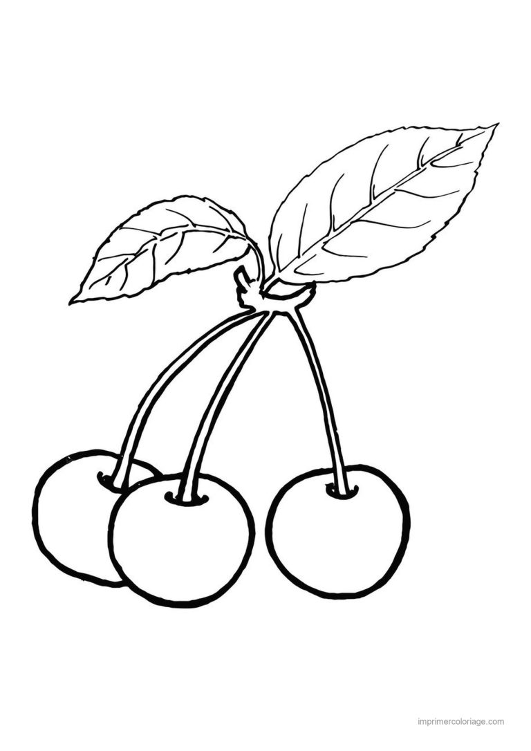 coloriage cerise trois cerises et leurs feuilles - dessin gratuit &agrave; imprimer