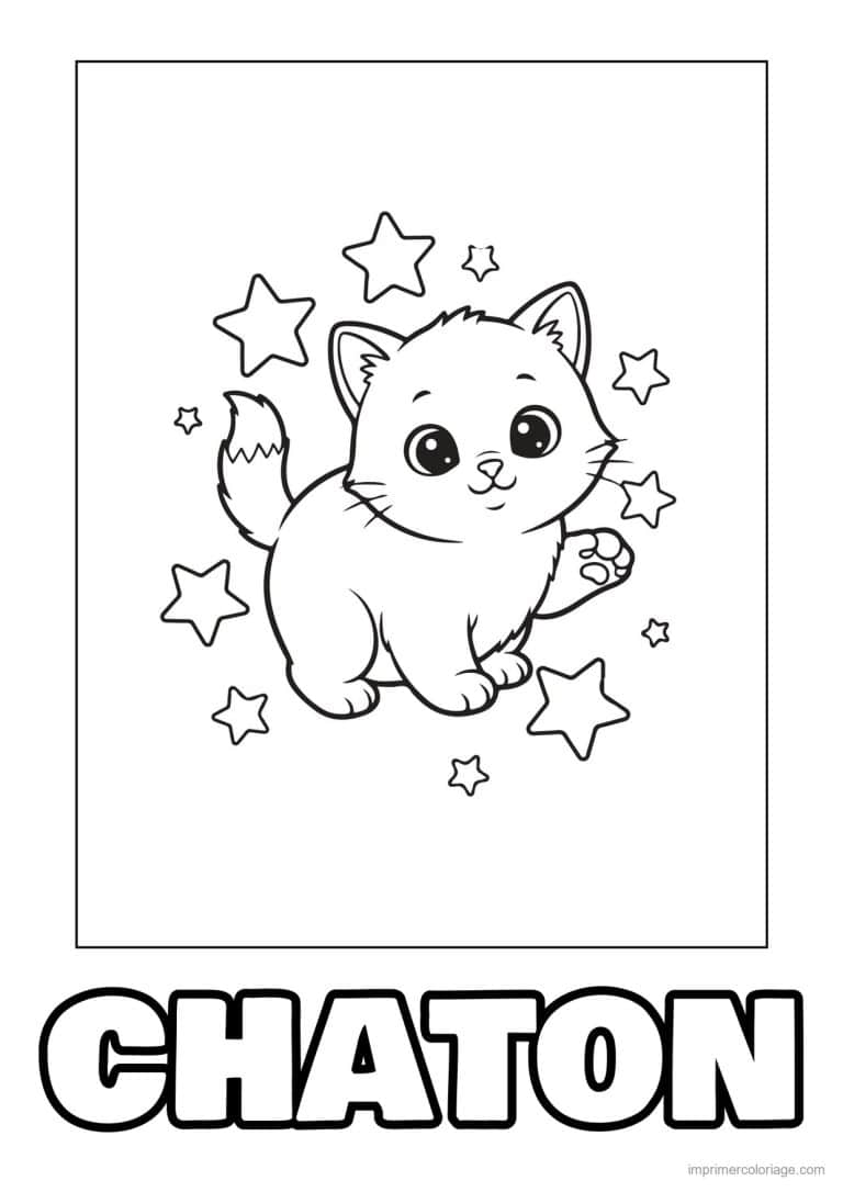 coloriage chaton entoure d etoiles - dessin gratuit &agrave; imprimer