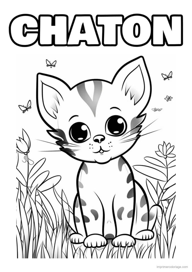 coloriage chaton et les papillons - dessin gratuit &agrave; imprimer