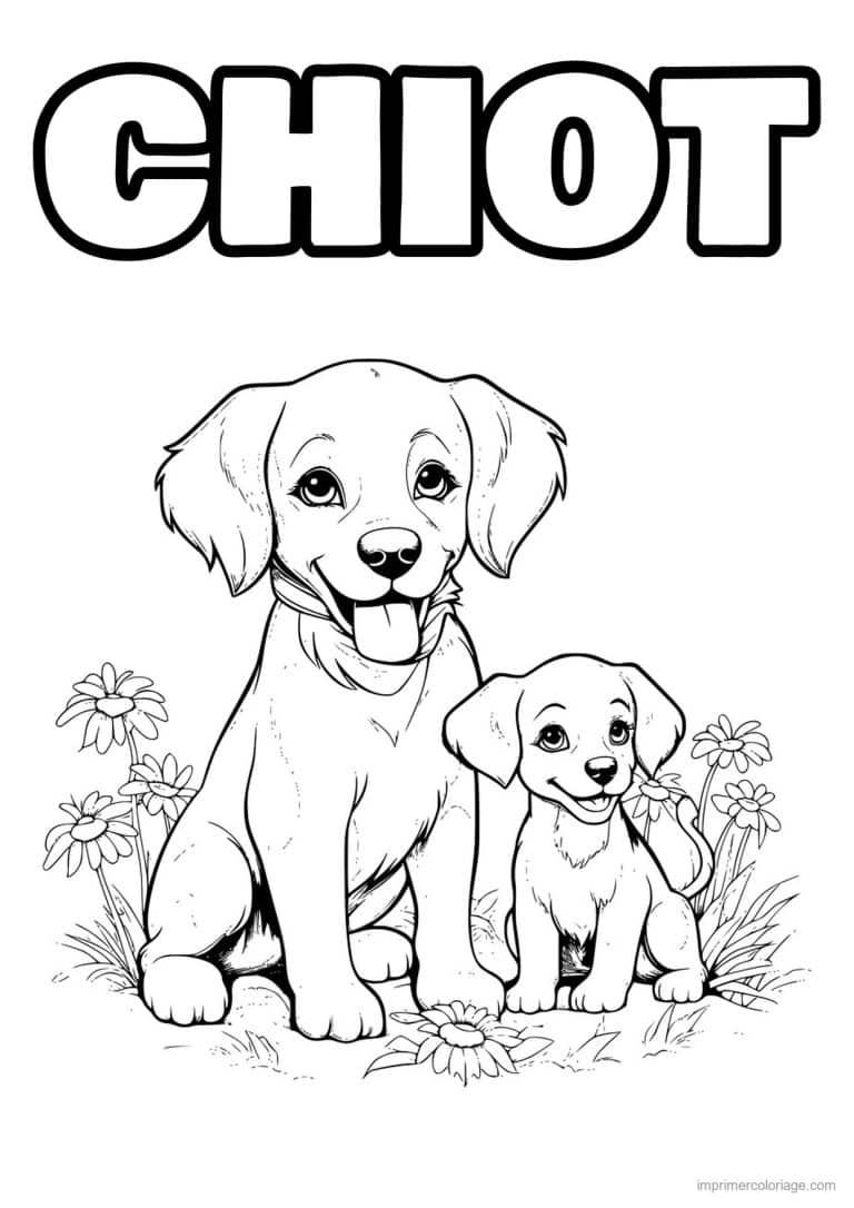 coloriage chien maman et son chiot - dessin gratuit &agrave; imprimer