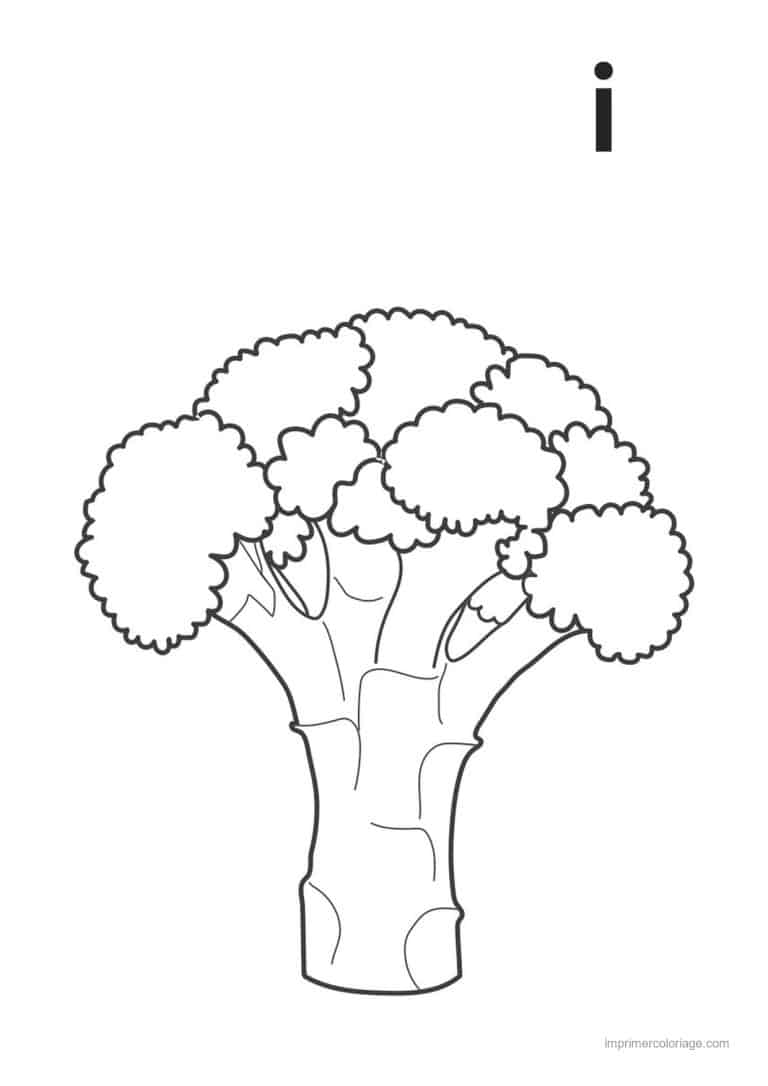 coloriage chou brocoli brocoli et son pied 2 - dessin gratuit &agrave; imprimer