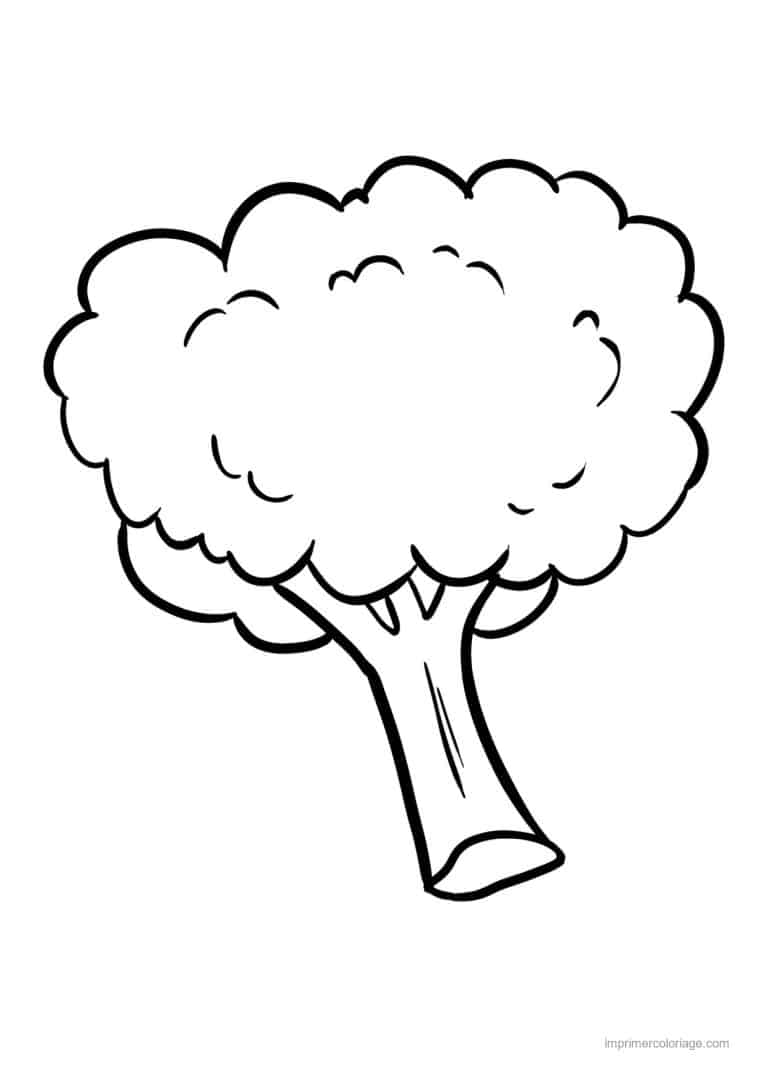 coloriage chou brocoli brocoli et son pied au trait epais - dessin gratuit &agrave; imprimer