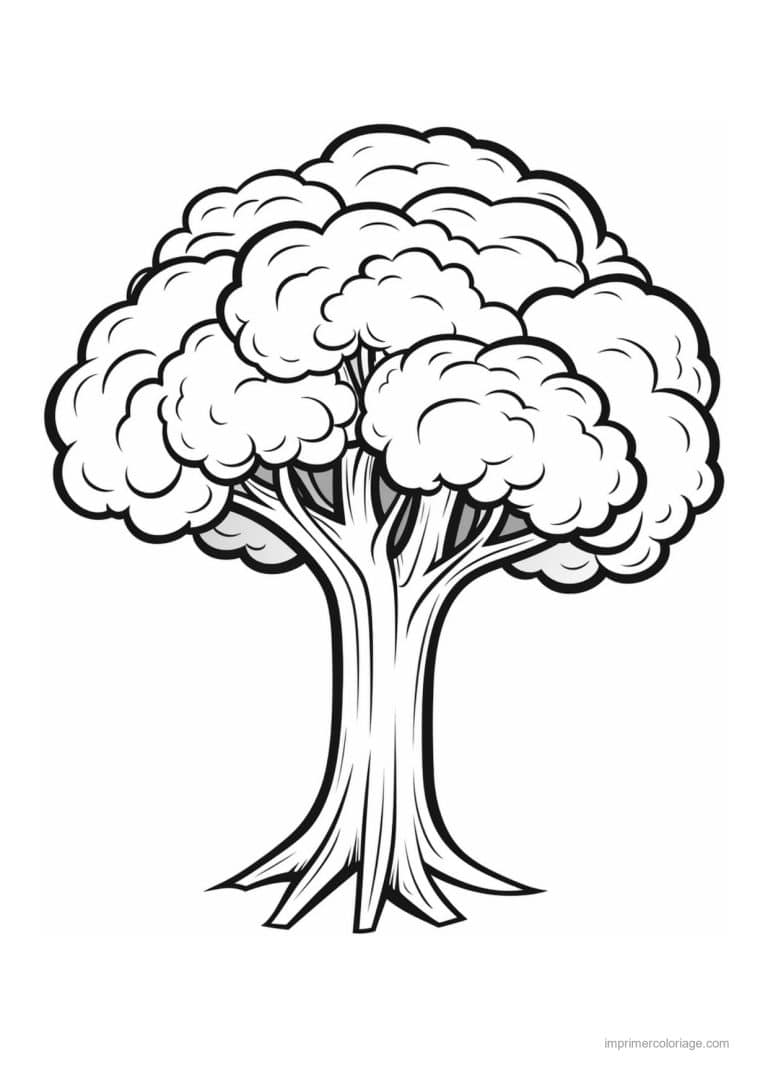 coloriage chou brocoli brocoli et son pied epais - dessin gratuit &agrave; imprimer