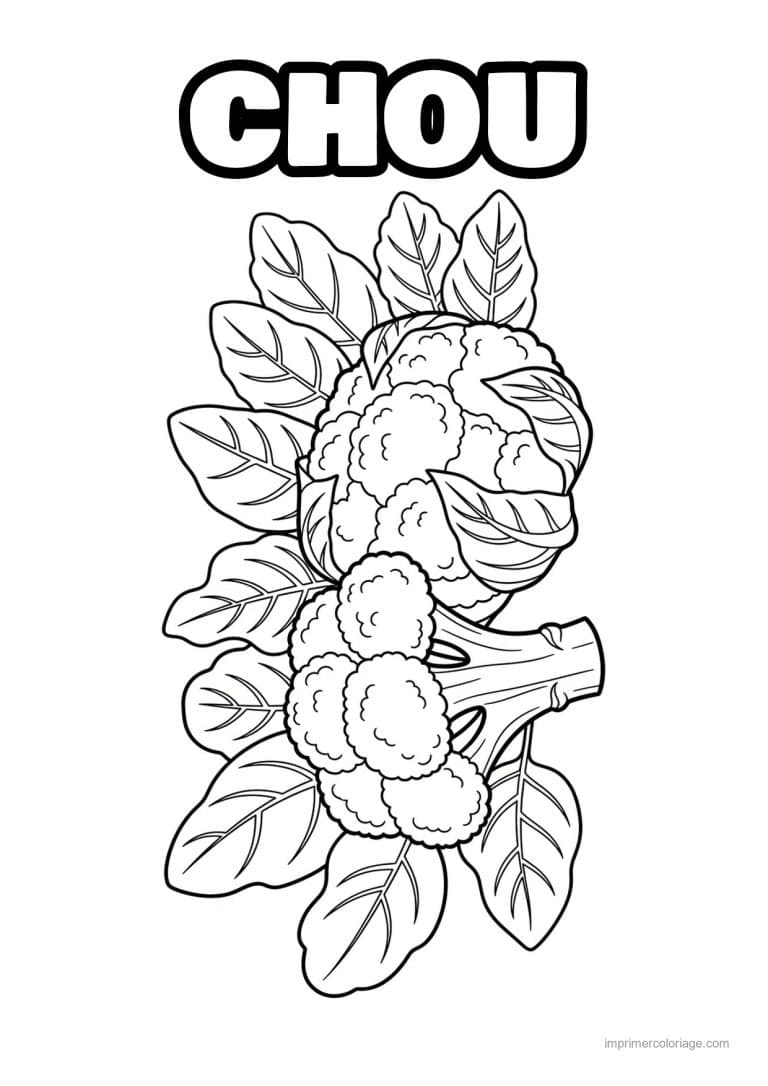 coloriage chou brocoli chou fleur et feuilles - dessin gratuit &agrave; imprimer