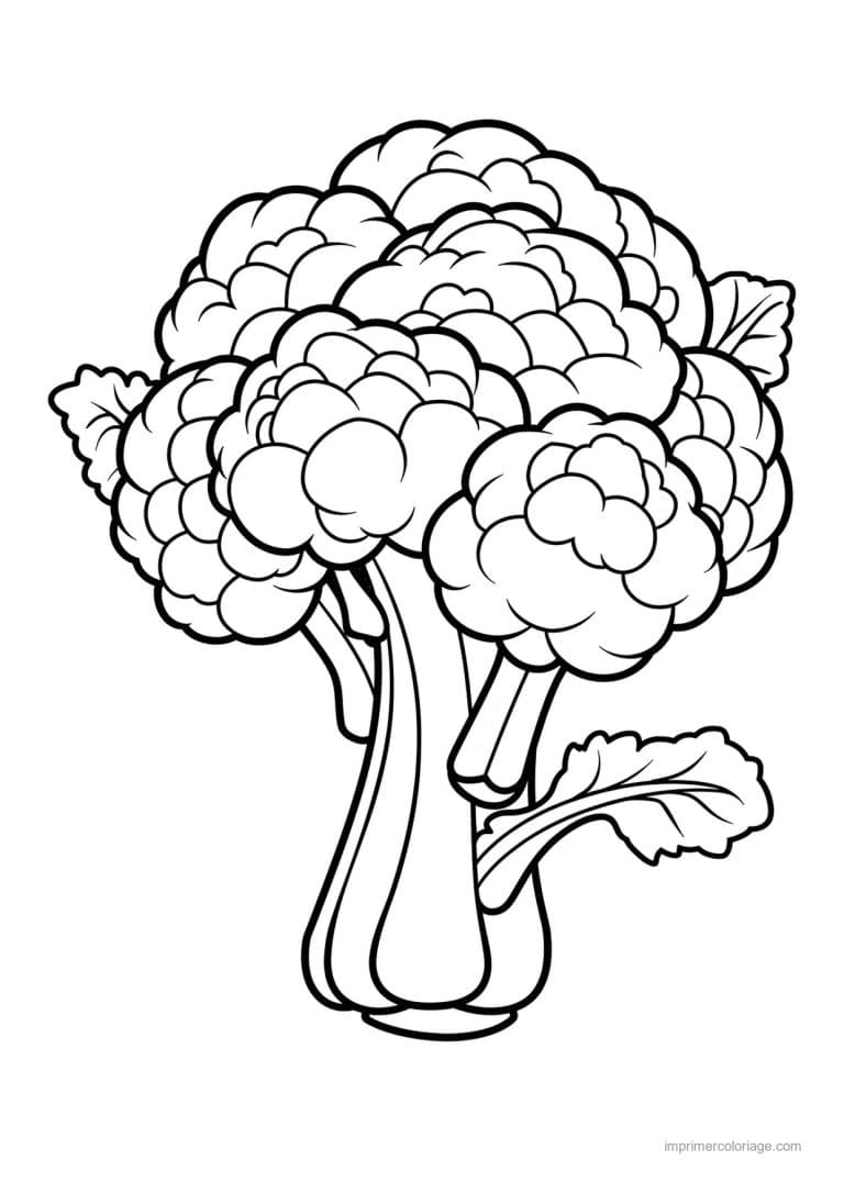 coloriage chou brocoli chou fleur grave 143 - dessin gratuit &agrave; imprimer