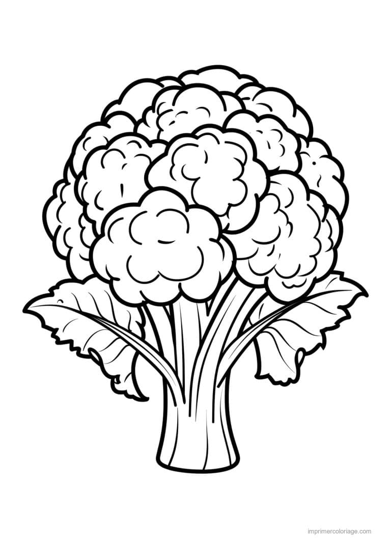 coloriage chou brocoli chou fleur grave 77 - dessin gratuit &agrave; imprimer