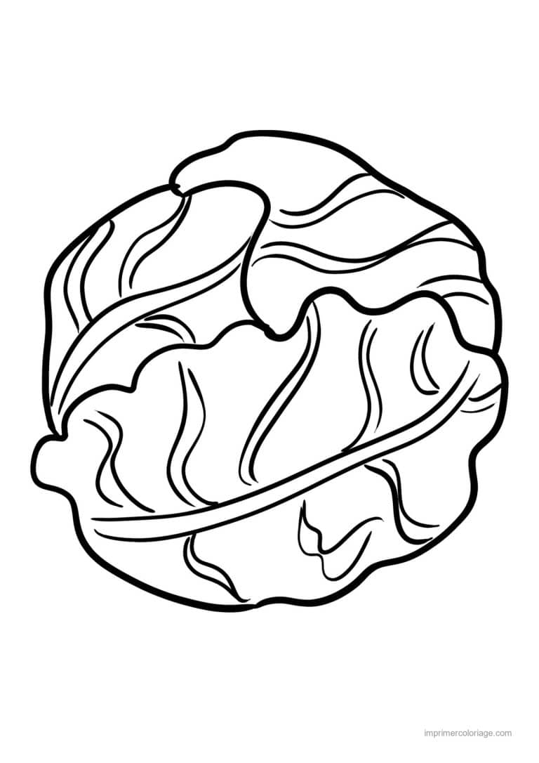 coloriage chou brocoli chou frise au trait epais - dessin gratuit &agrave; imprimer