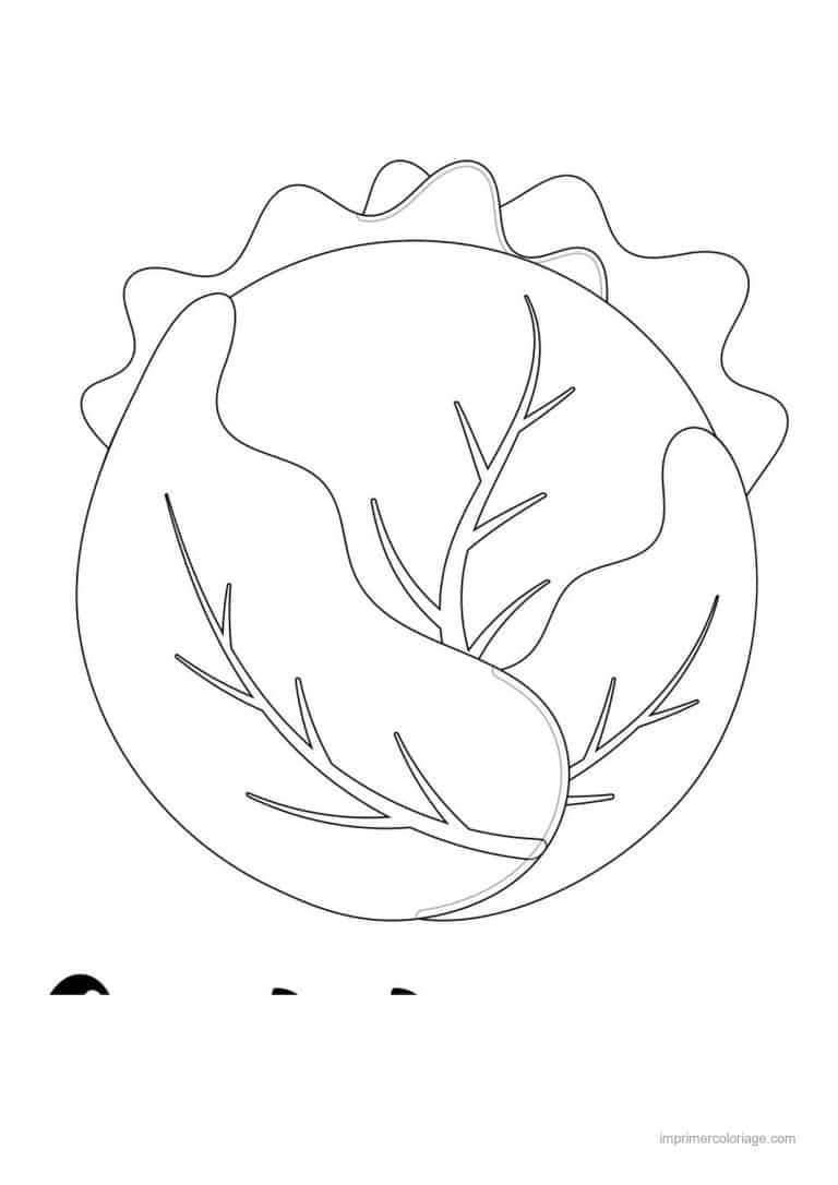 coloriage chou brocoli chou pomme 2 - dessin gratuit &agrave; imprimer