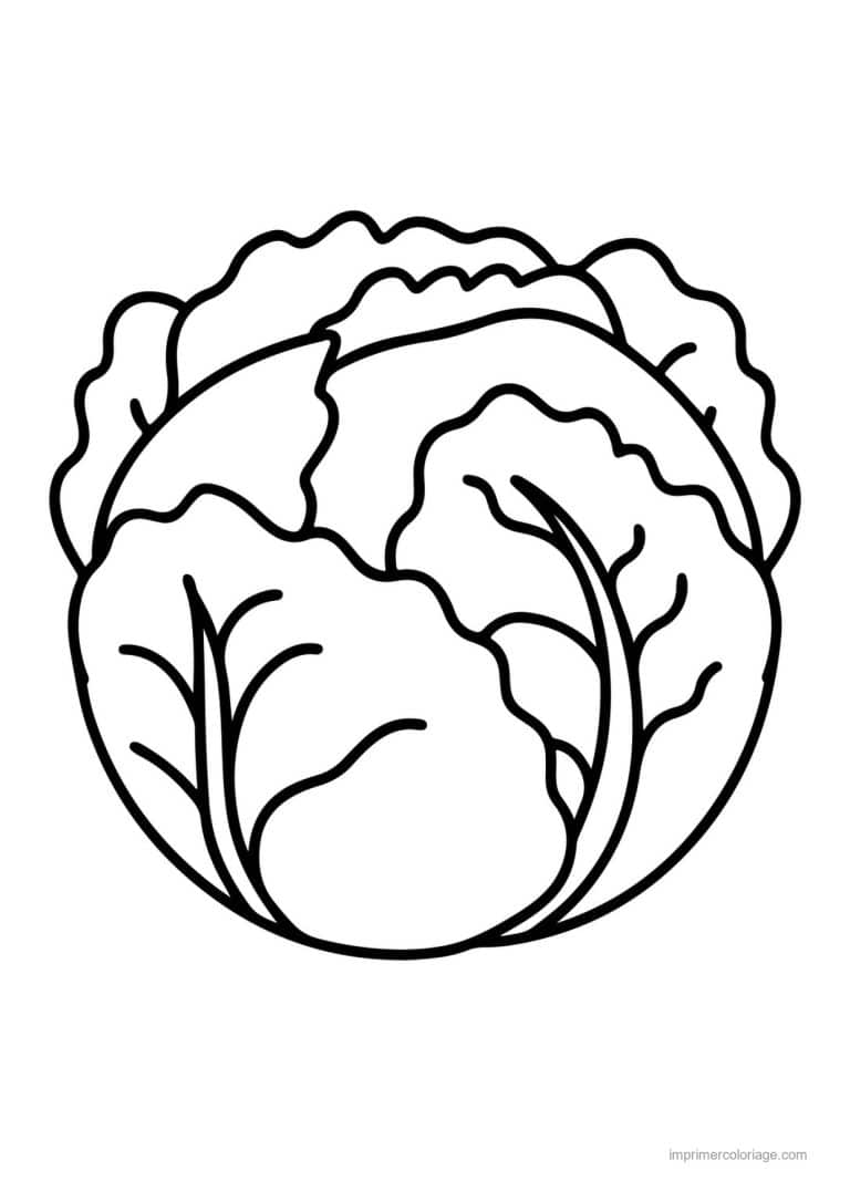 coloriage chou brocoli chou pomme - dessin gratuit &agrave; imprimer