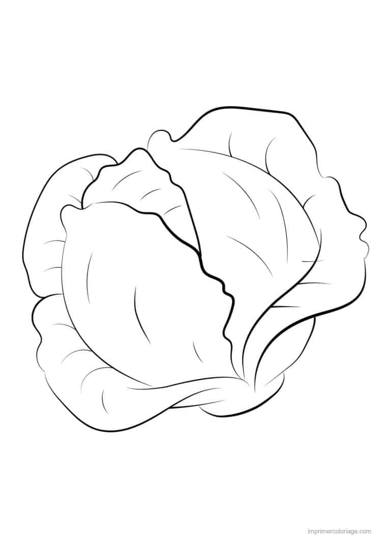 coloriage chou brocoli chou pomme au trait epais - dessin gratuit &agrave; imprimer