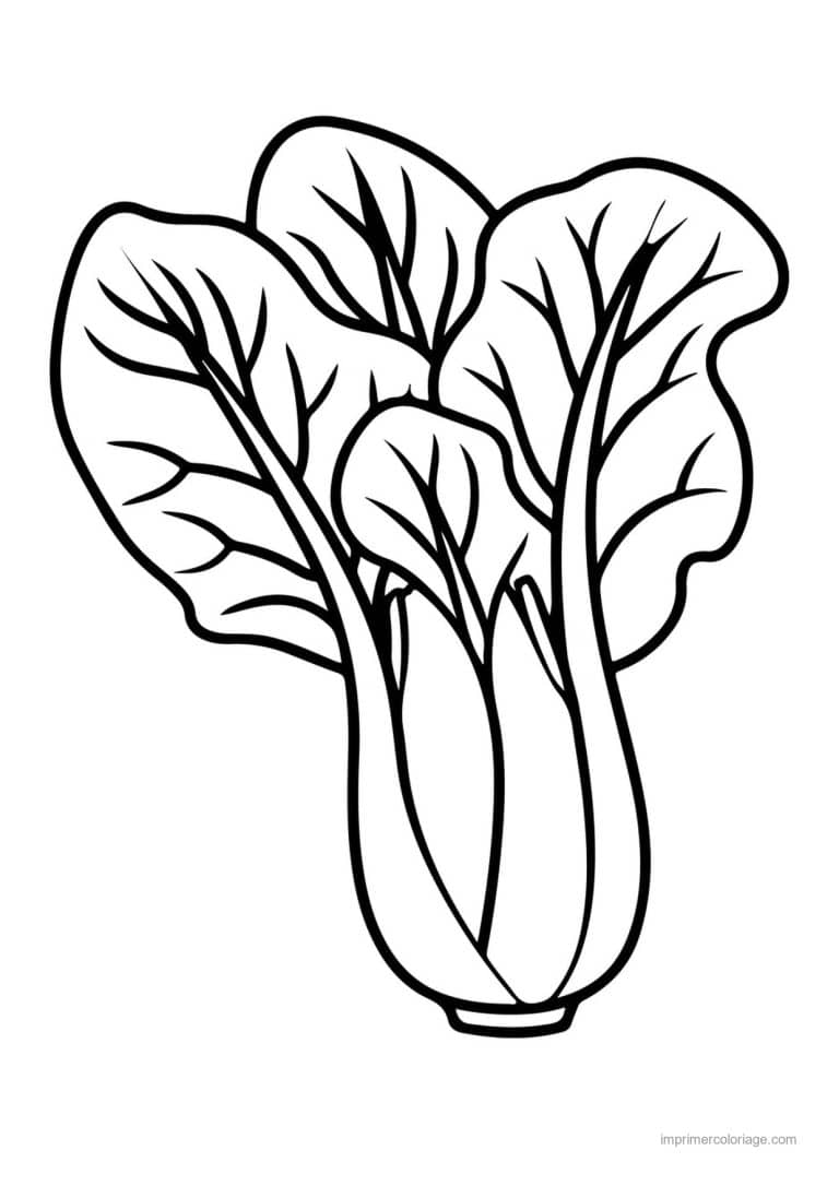 coloriage chou brocoli pak choi - dessin gratuit &agrave; imprimer