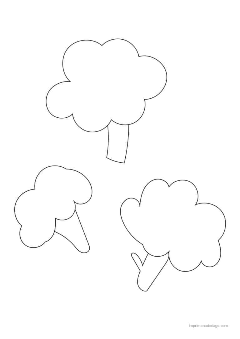 coloriage chou brocoli trois brocolis au trait epais - dessin gratuit &agrave; imprimer