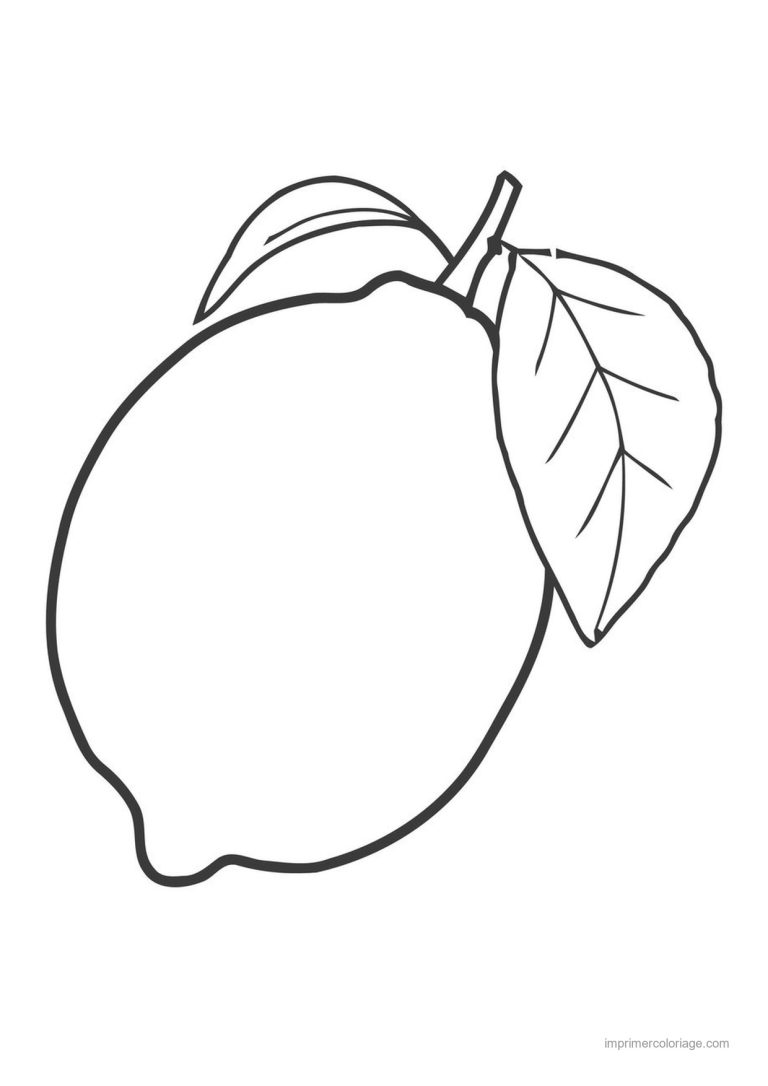 coloriage citron citron et sa feuille - dessin gratuit &agrave; imprimer