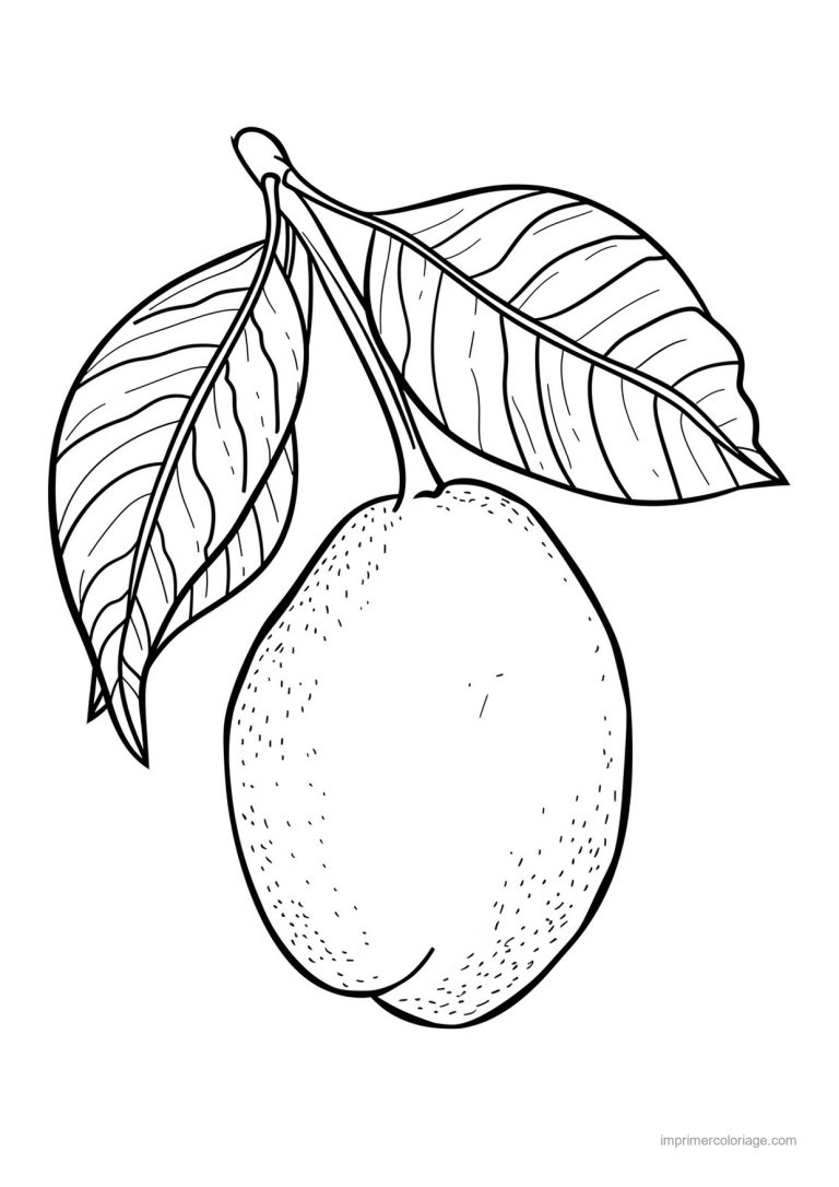 coloriage citron citron et ses feuilles 156 - dessin gratuit &agrave; imprimer
