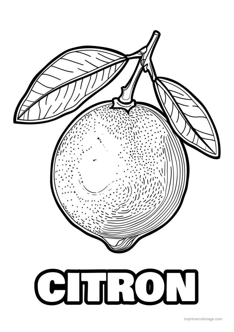 coloriage citron citron et ses feuilles 168 - dessin gratuit &agrave; imprimer