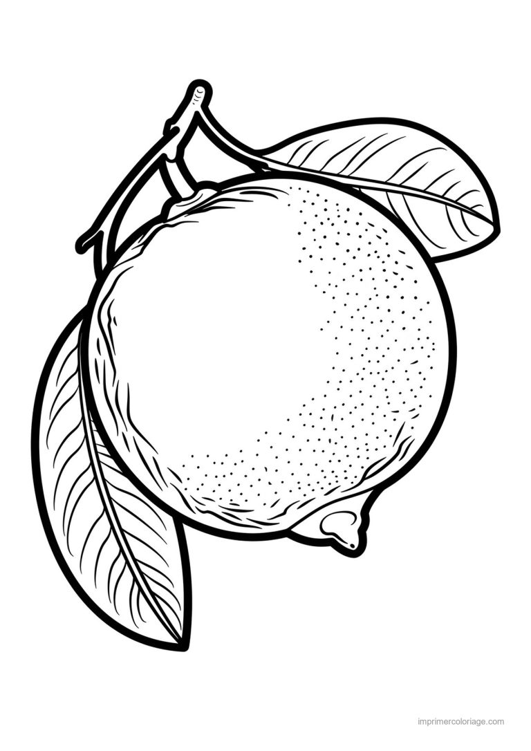coloriage citron citron et ses feuilles 179 - dessin gratuit &agrave; imprimer