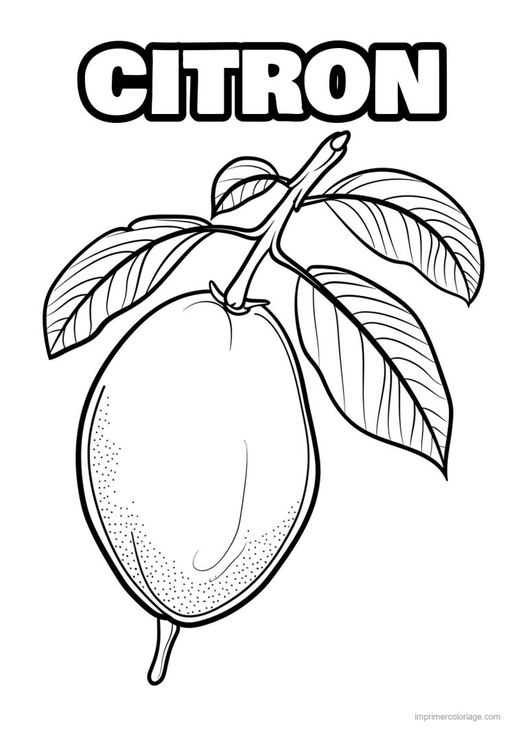 coloriage citron citron et ses feuilles 67 - dessin gratuit &agrave; imprimer