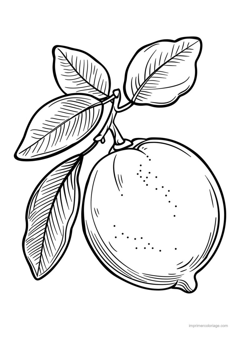 coloriage citron citron et ses feuilles 74 - dessin gratuit &agrave; imprimer