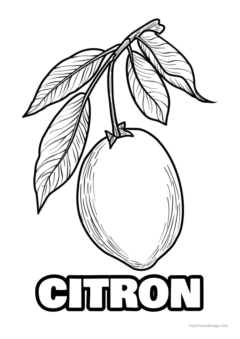 coloriage citron citron grave 133 - dessin gratuit &agrave; imprimer