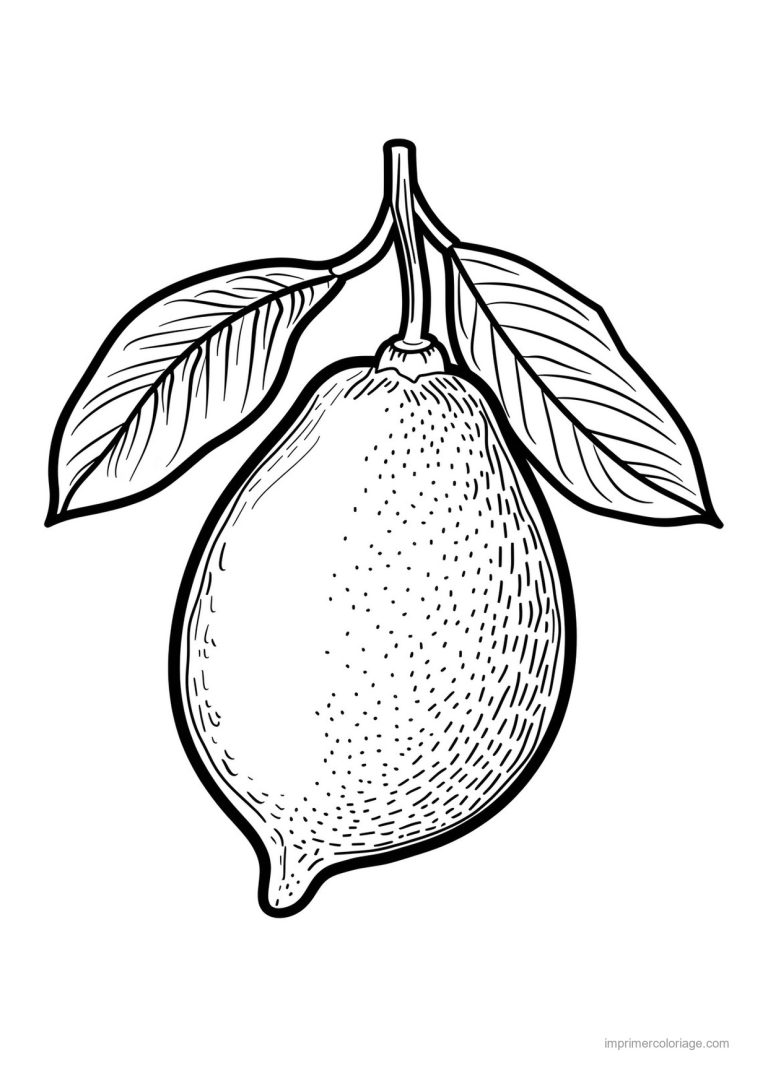 coloriage citron citron grave 155 - dessin gratuit &agrave; imprimer