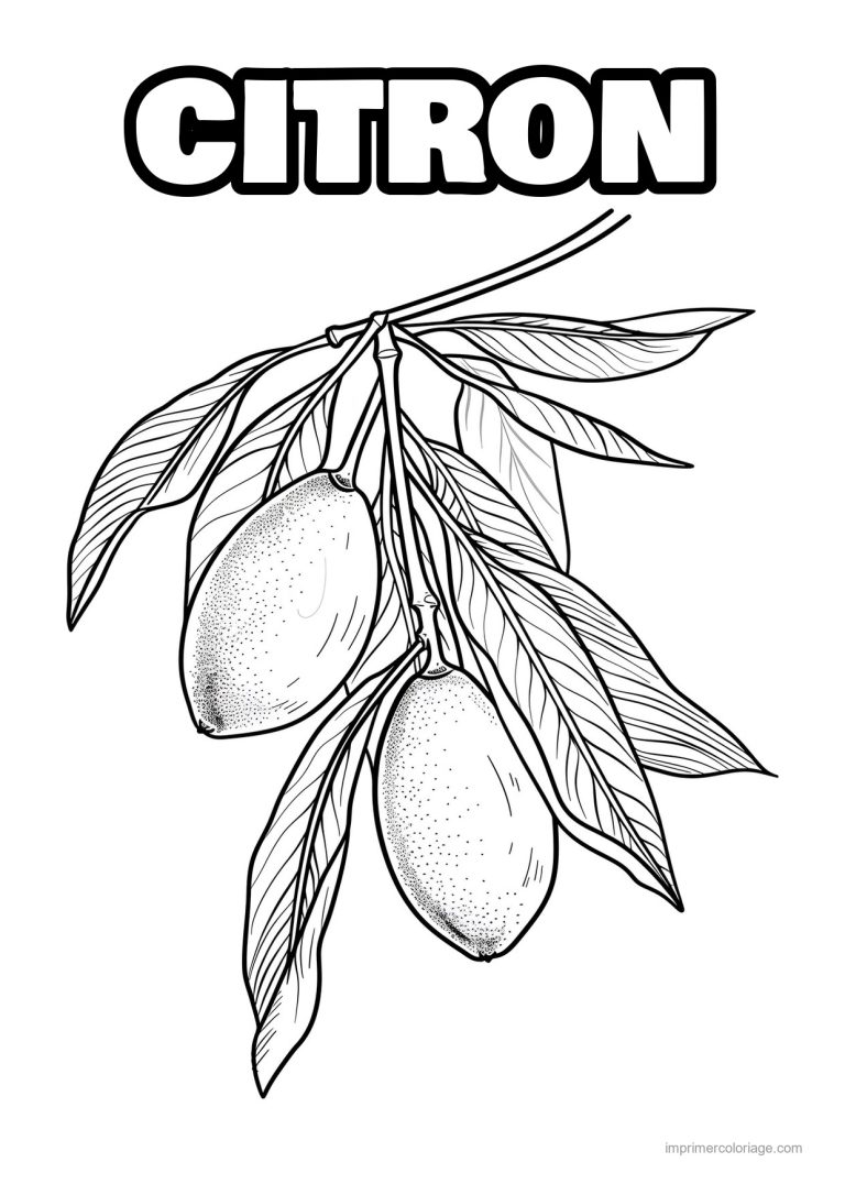 coloriage citron citron grave 206 - dessin gratuit &agrave; imprimer